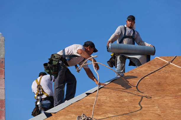 Professional Roofing Contractor in Glencoe, FL