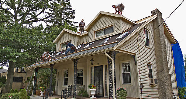 Best Storm Damage Roof Repair  in Glencoe, FL